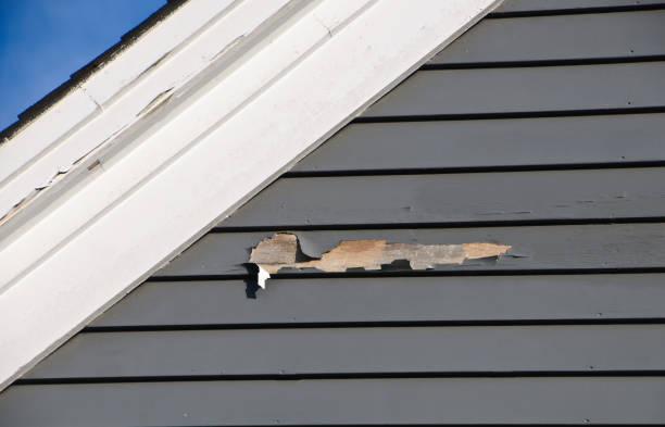 Affordable Siding Repair and Maintenance Services in Orange City, IA